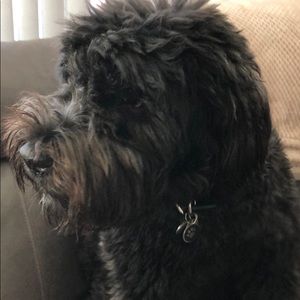 Meet your Posher, Hayden